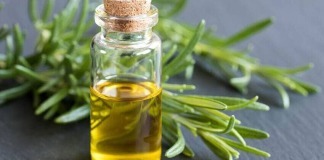 olio essenziale di rosmarino